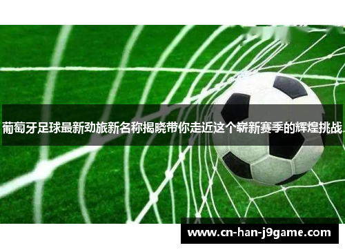 葡萄牙足球最新劲旅新名称揭晓带你走近这个崭新赛季的辉煌挑战