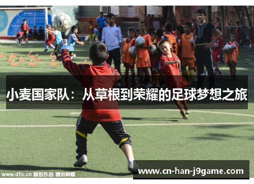 小麦国家队：从草根到荣耀的足球梦想之旅
